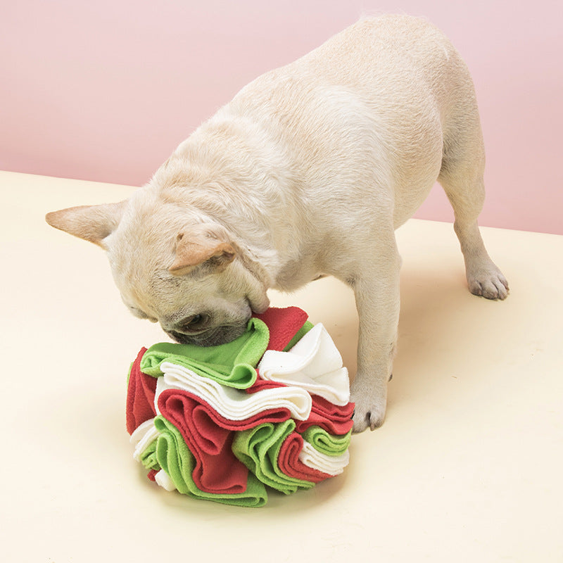 AquaPaw™ Interactive Foraging Snuffle Mat for Dogs